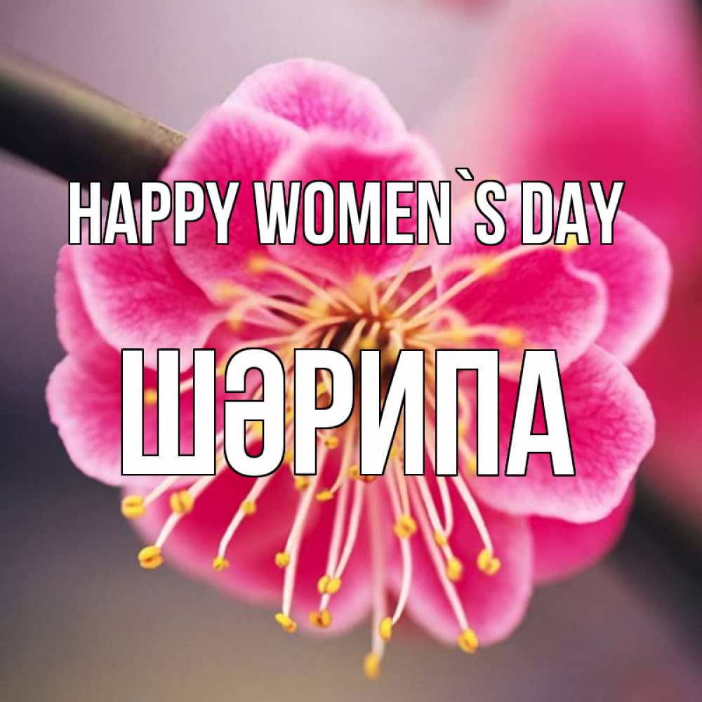 Greetings card с именем, ШӘРИПА happy women`s day цветы Greetings with text for free download 